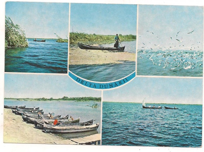 carte postala(ilustrata)-DELTA DUNARII-colaj