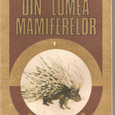 (C1876) DIN LUMEA MAMIFERELOR ( MAMIFERE TERESTRE ) DE DUMITRU MURARIU, EDITURA ACADEMIEI REPUBLICII SOCIALISTE ROMANIA, BUCURESTI, 1989