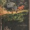 (C1900) ANI INDEPARTATI DE K.PAUSTOVSKI, EDITURA TINERETULUI, BUCURESTI, 1962