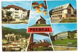 carte postala(ilustrata)-PREDEAL-colaj