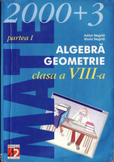 MATE 2000+ 3 ALGEBRA, GEOMETRIE PARTEA ICLASA A VIII A de ANTON NEGRILA ED. PARALELA 45 foto