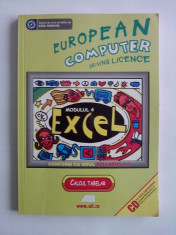 European computer driving licence - Modulul 4 Excel foto