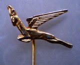 I.020 INSIGNA STICKPIN AVIATIE SOUTH AFRICAN AIRWAYS SAA L20mm, Africa