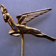 I.020 INSIGNA STICKPIN AVIATIE SOUTH AFRICAN AIRWAYS SAA L20mm