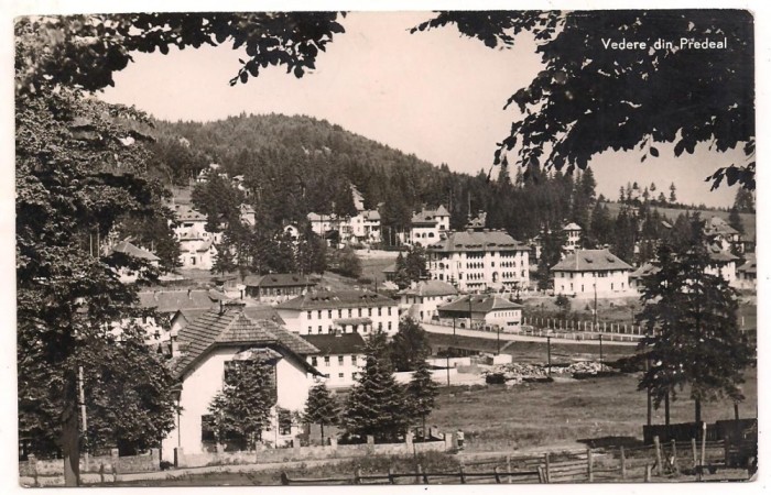 carte postala(ilustrata)-PREDEAL-vedere