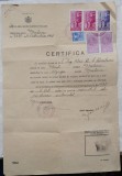 Certificat ; Biroul de Cazier si Identificare al Tribunalului Prahova, 1938