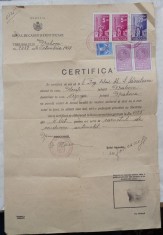 Certificat ; Biroul de Cazier si Identificare al Tribunalului Prahova, 1938