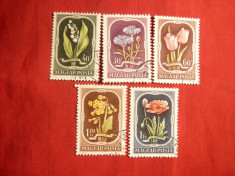 Serie Flori 1951 Ungaria ,5 val.stamp. foto
