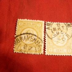 2 Timbre 2C galben si bistr. 1876 Olanda ,stamp.