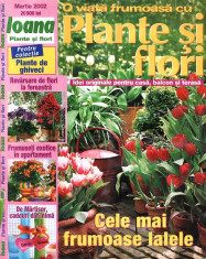 PLANTE SI FLORI DIN MARTIE 2002 foto