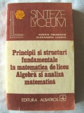 PRINCIPII SI STRUCTURI FUNDAMENTALE IN MATEMATICA DE LICEU - Trandafir /Leonte