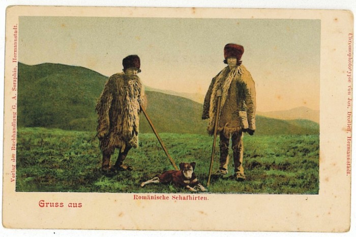 1103 - Ethnic, SHEPHERDS and dog, port popular - old postcard - unused