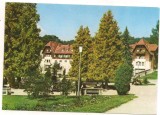 carte postala- BORSEC-vedere