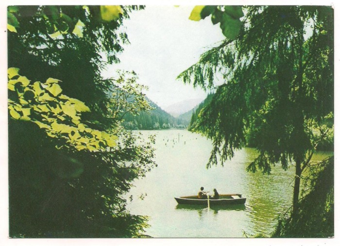 carte postala-LACUL ROSU-vedere