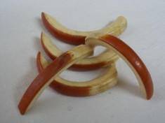 DINTI DE NUTRIE. foto