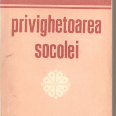 (C1974) PRIVIGHETOAREA SOCOLEI DE NICOLAE GANE, EDITURA JUNIMEA, IASI, 1990