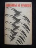 INALTIMILE SE CUCERESC - ANTOLOGIE DE PROZA CONTEMPORANA PENTRU COPII, 1975