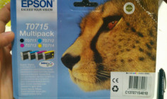 Epson Multipack 4-Colour T0715 foto