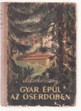 Nyikolaj Sztrokovszkij - Gyar Epul Az Oserdoben (Lb. Maghiara) - 1952