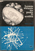 (C1994) LUMEA STRANIE NU POATE FI OCOLITA DE DANIIL DANIN, EDITURA STIINTIFICA, BUCURESTI, 1967