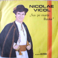 NICOLAE VICOL - SUS PE MUNTII BAIULUI (DISC VINIL) foto