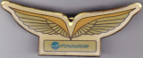 Insigna Aviatia Finlanlda FINNAIR