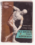 Kontra Gyorgy si K. Bocz Istvan - Az Emberi Test Kepekben, 1964