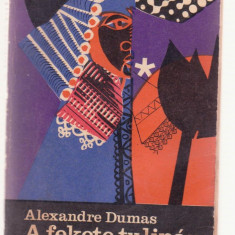 Alexandre Dumas - A fekete tulipan (Lb. Maghiara)