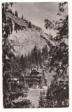 carte postala-LACUL ROSU-vila Roza Soarelui