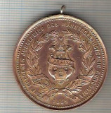 C48 Medalie - Jubileul de aur al Mannergesangverein Concordia 1889 - masonica? -marime circa 39x42 mm-greutate aprox. 25 gr-starea care se vede, Europa
