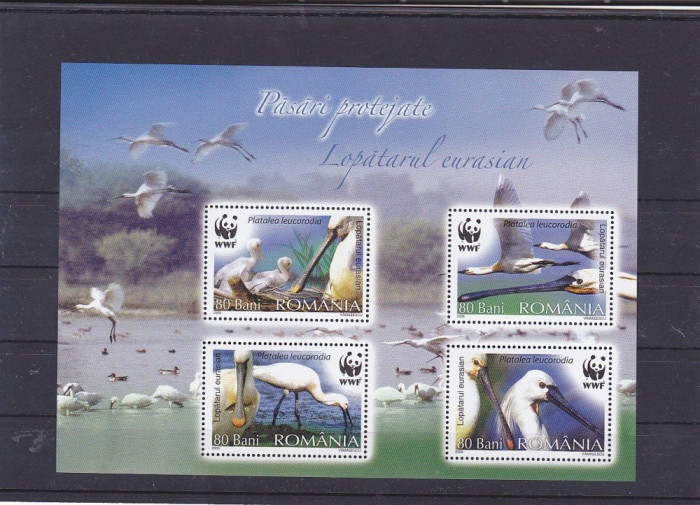 Fauna lopatar WWF 2006 Romania .