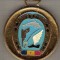C128 Medalie CAMPIONAT PENTATLON MODERN SENIORI INDIVIDUAL -marime circa 56x62 mm -greutate aprox. 22 gr -starea care se vede