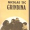 (C2145) GRINDINA DE NICOLAE TIC, EDITURA EMINESCU, BUCURESTI, A988