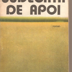 (C2108) JUDECATA DE APOI AUTOR P. SALCUDEANU, EDITURA MILITARA, BUCURESTI, 1977