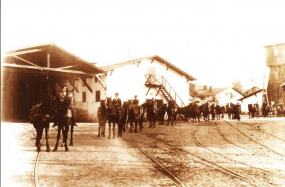 Carte postala ilustrata Depoul Bonaparte (Victoria), coloana de cai cu vizitii foto