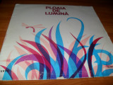 Ploaia de lumina (Disc Vinyl)