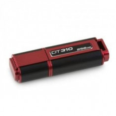 stick USB kingston DT310 256GB