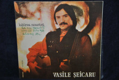 Vasile Seicaru - Iubirea Noastra - disc LP vinil (vinyl) foto