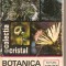 (C1620) BOTANICA DISTRACTIVA, TUDOR OPRIS, EDITURA ALBATROS, IASI,1973, EDITIA A II-A REVAZUTA SI ADAUGITA, DESENELE REALIZATE DE FELICIA IONESCU
