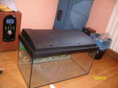 Vand Acvariu Cu Capac de 60L cumparat din PetShop complet utilat foto