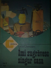 Imi zugravesc singur casa V. 2 - Luca Gherasim foto