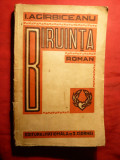 I.Agarbiceanu - BIRUINTA - prima Ed. 1930