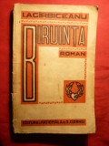 39. I.Agarbiceanu - BIRUINTA - prima Ed. 1930 Ed. Nationala S. Ciornei , 247 pag.