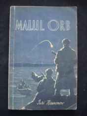 IURI BESSONOV - MALUL ORB foto