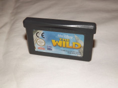 Joc Nintendo Gameboy Advance - The Wild foto