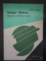 Geologia Moldovei Stratigrafie Si Consideratii Economice - Gh. Bagu Al. Mocanu foto