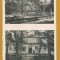 BUZIAS 1937