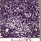 (C1629) SECOLUL 20, NR. 10 / 1977, EDITATA DE UNIUNEA SCRIITORILOR DIN R.S.R.