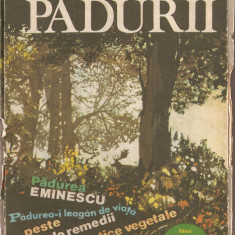 (C1624) ALMANAHUL PADURII, 1985, EDITAT DE REVISTA LITERARA VIATA ROMANEASCA, BUCURESTI, 1985
