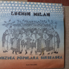 milan luchin muzica populara sarbeasca folclor sarbesc disc vinyl lp EPE 02422